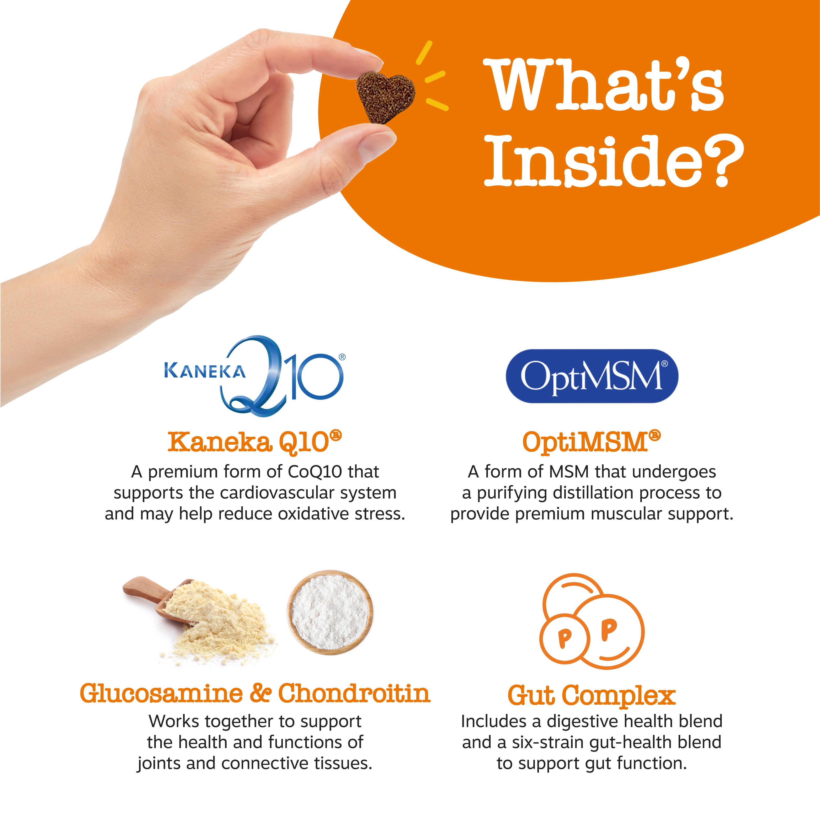 8-in-1 Multivitamin Bites for Dogs