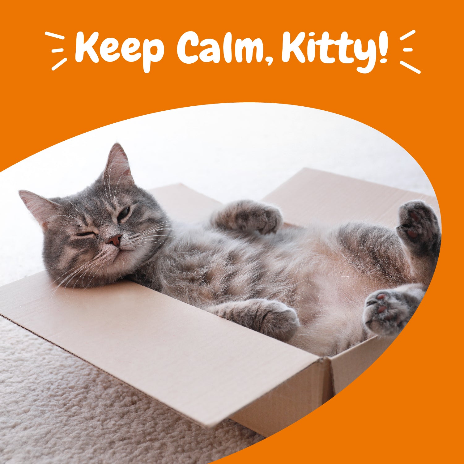 Calming Bites™ for Cats