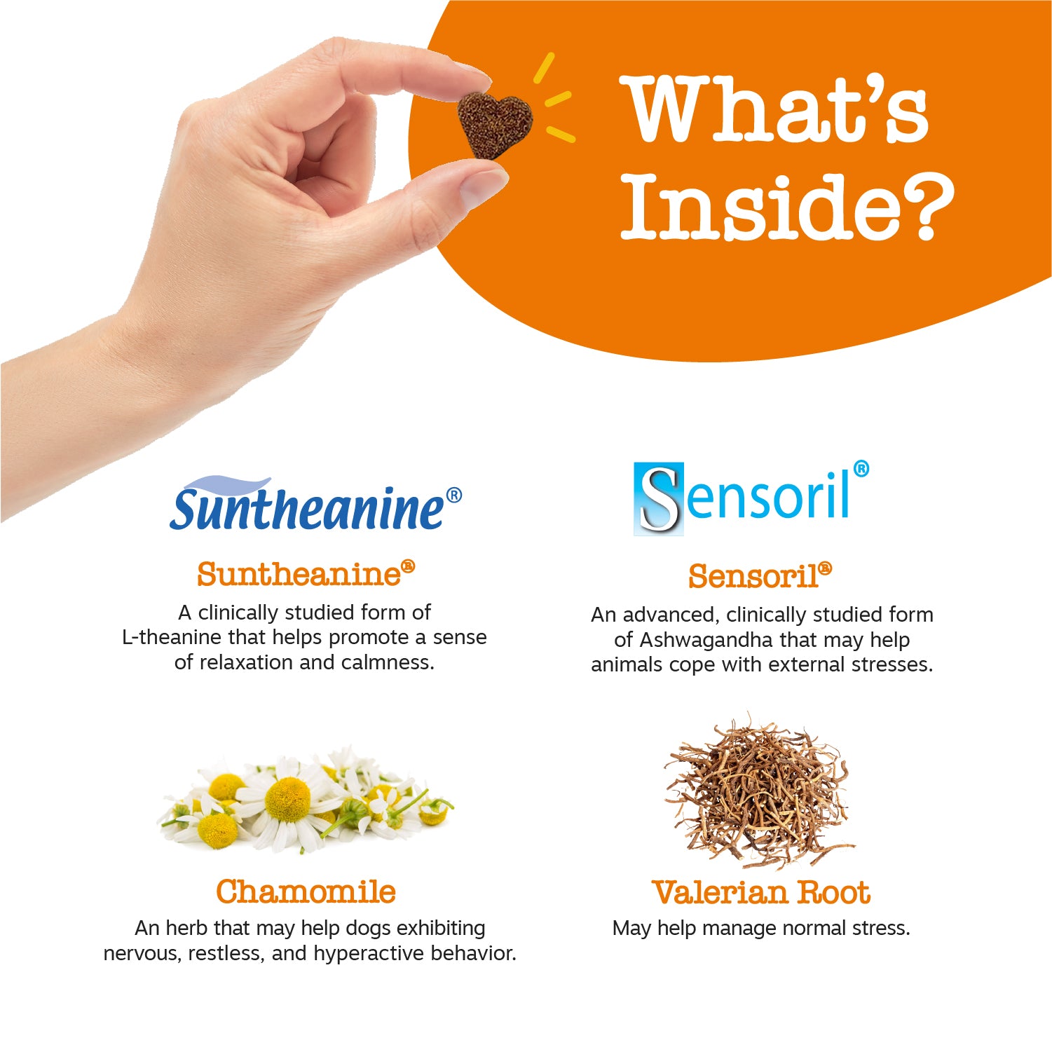 Calming Bites™ for Dogs