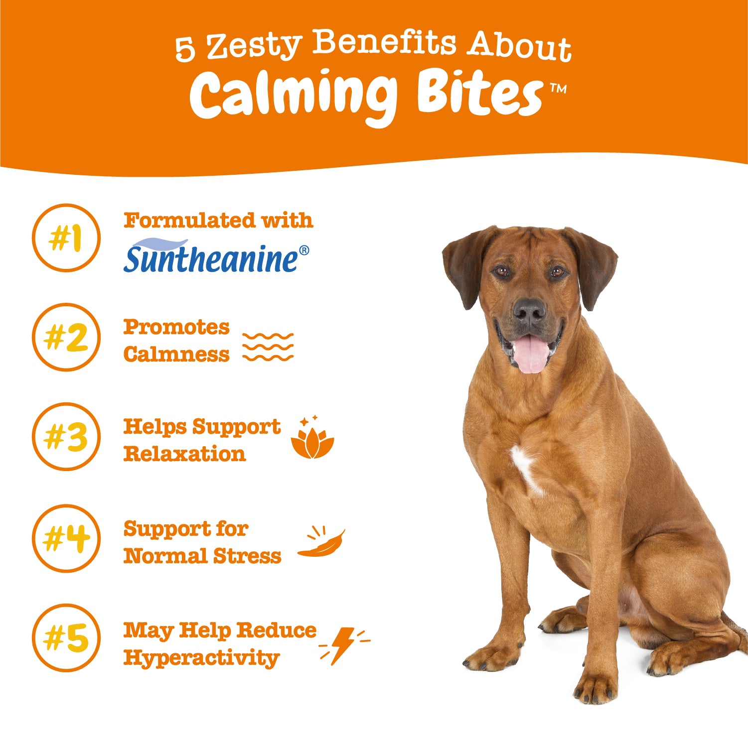 Calming Bites™ for Dogs