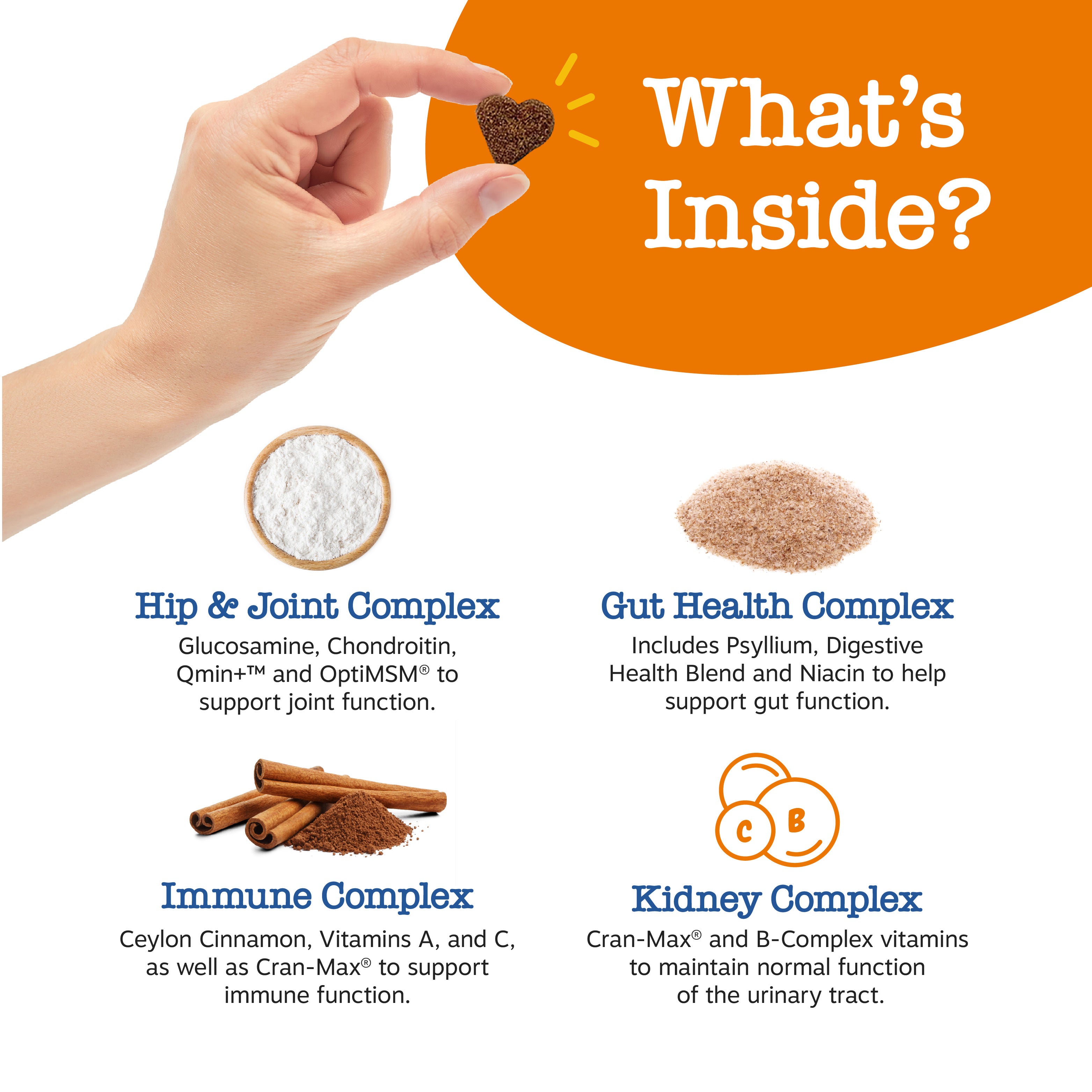 Senior Advanced 11-in-1 Multivitamin Bites for Senior Dogs