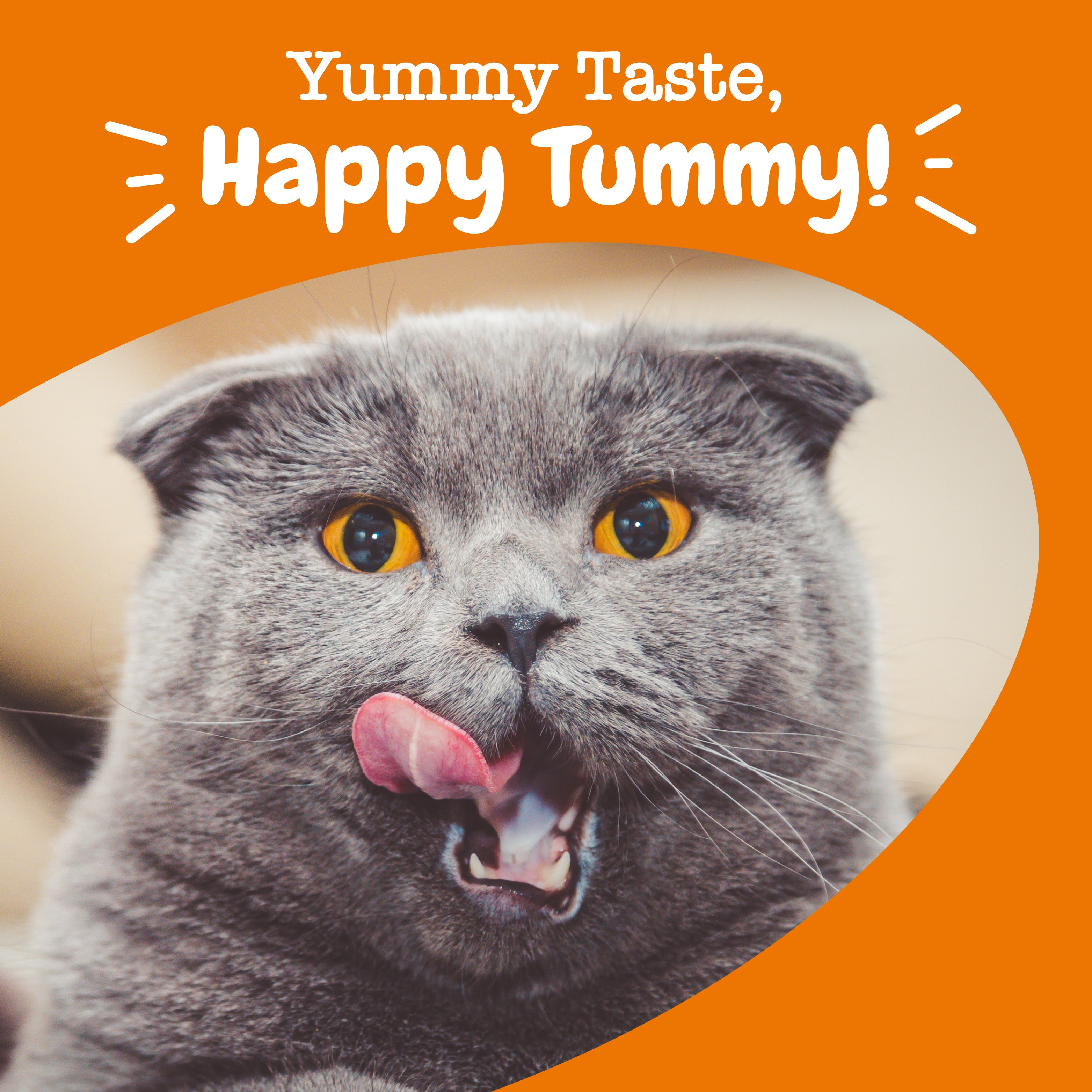 Digestion Cat Mousse