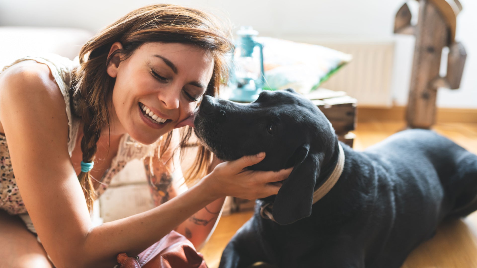 Vet-Recommended Supplement to Support Healthy Aging in Dogs